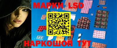 стаф Кулебаки