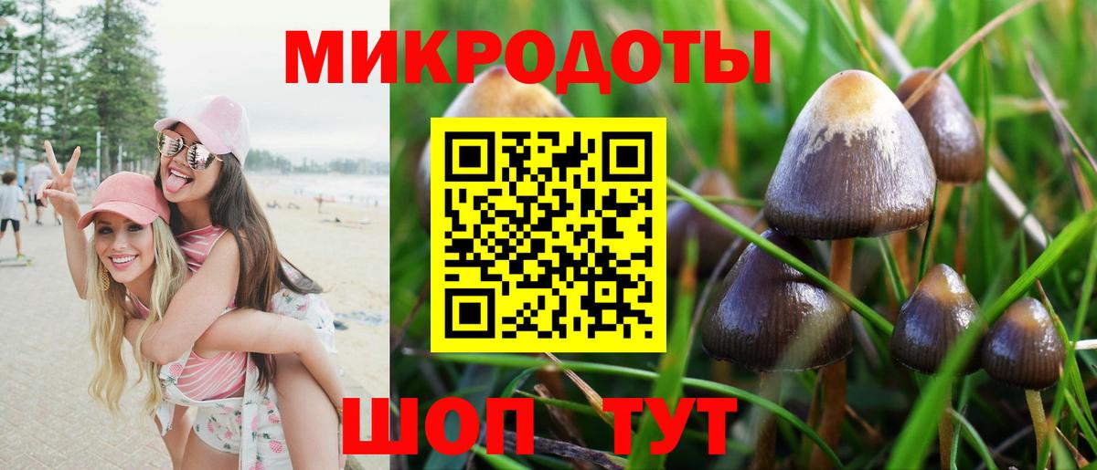 Фролово  Галлюциногенные грибы MAGIC MUSHROOMS  Вход с VPN  Галлюциногенные грибы Cubensis 